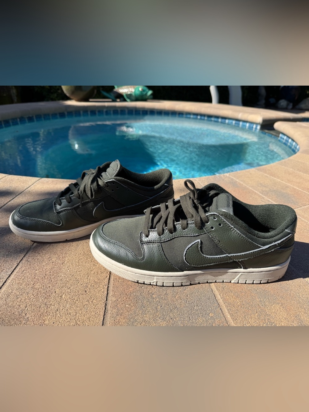 Men’s Nike dunks low in Dark Green